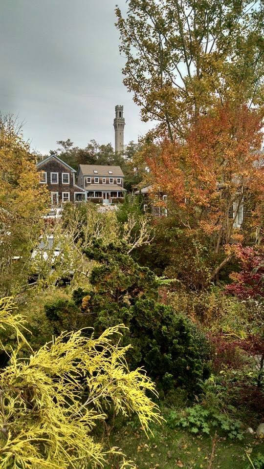 provincetown in autumn
