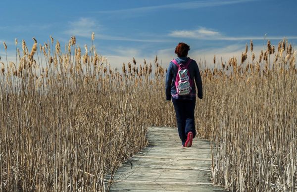 Hiking and Walking Trails in Cape Cod