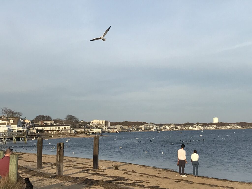 ptown harbor