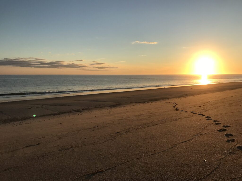 Coast Guard Beach in North Truro